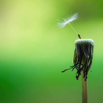 Where Can We Find Never Failing Hope?